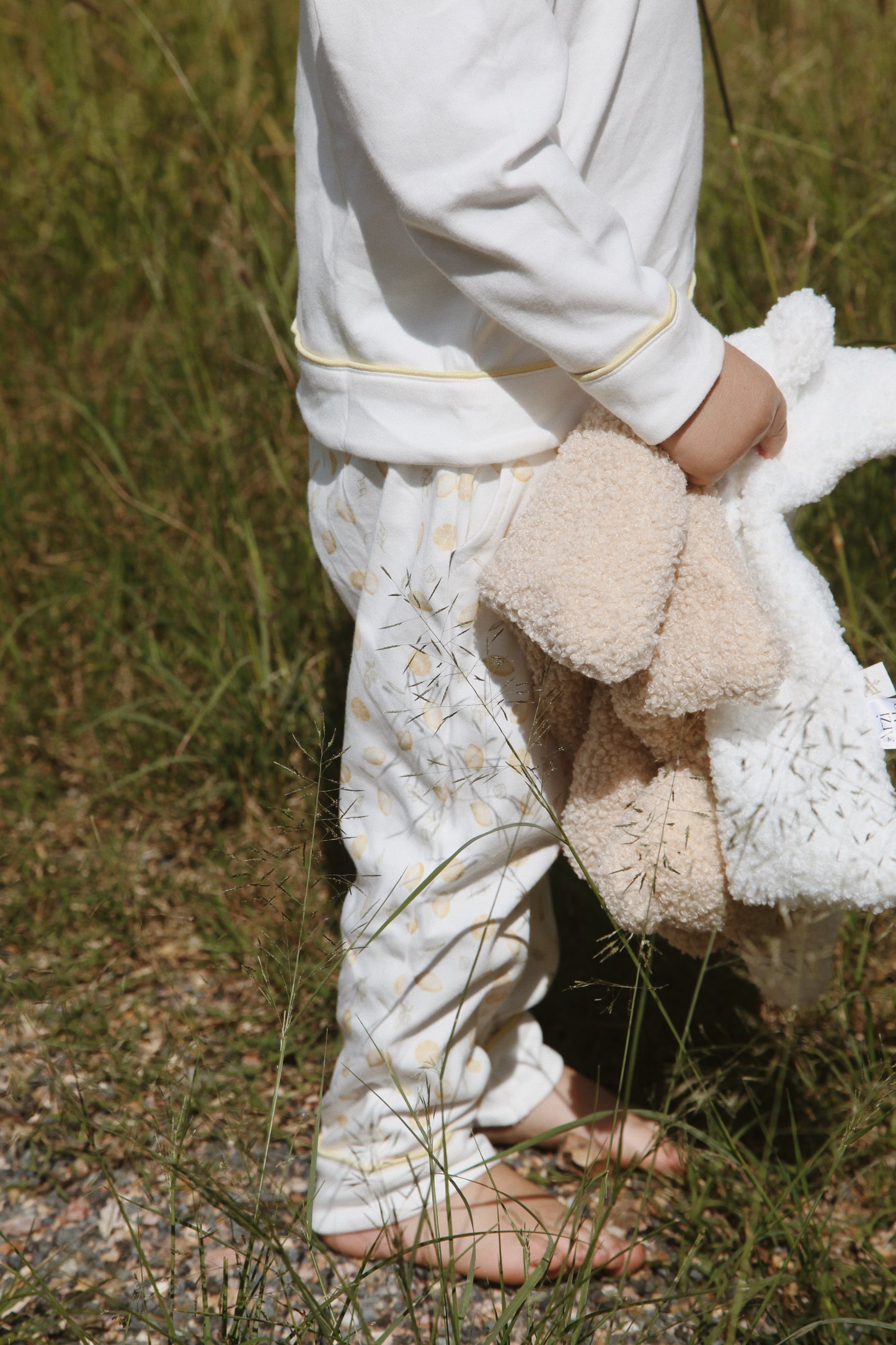 Sherppi Teddy