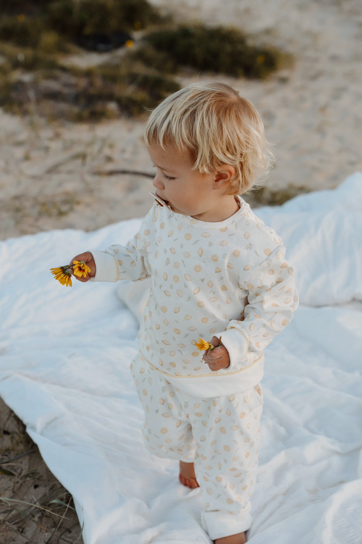 Long Sleeve Set Lemons